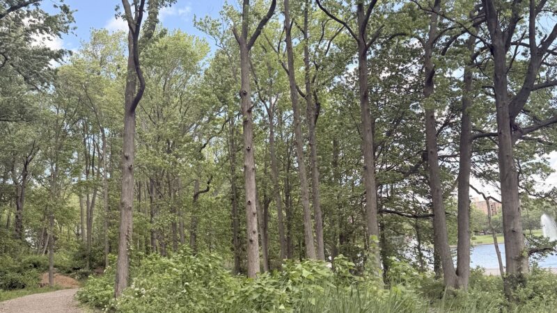 North Bergen 80th Street Park - North Bergen, NJ