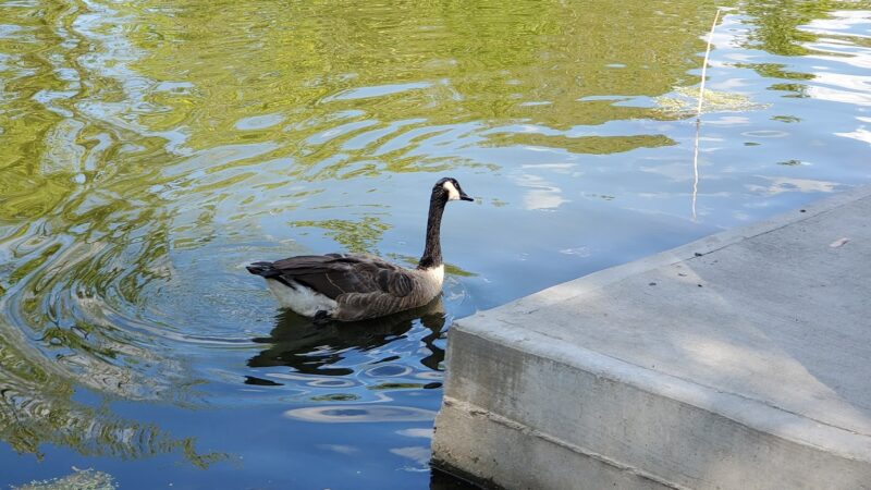 North Bergen 80th Street Park - North Bergen, NJ