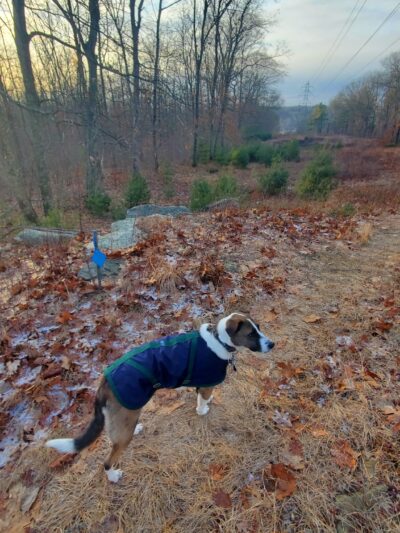 Town Park - North Brookfield, MA