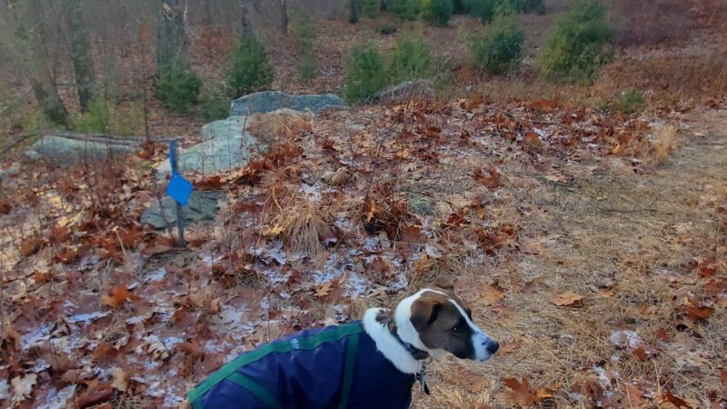 Town Park - North Brookfield, MA