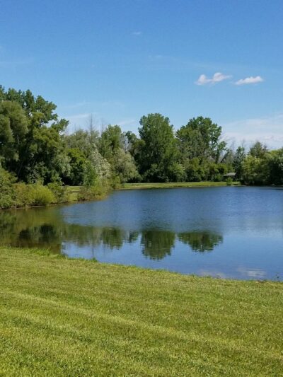Black Creek Park - North Chili, NY