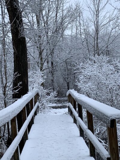 Black Creek Park - North Chili, NY