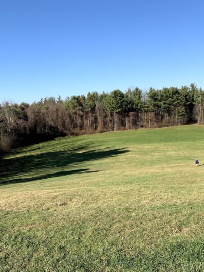 Black Creek Park - North Chili, NY