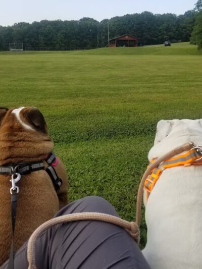 Marion Fricano Town Park - North Collins, NY