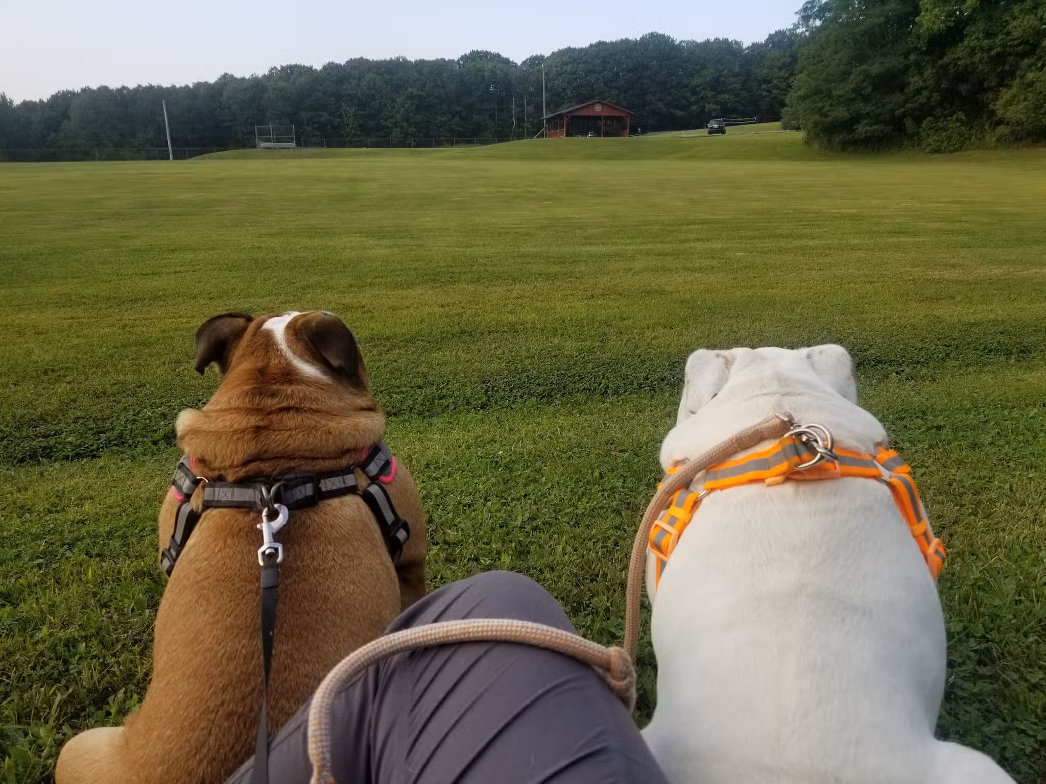 Marion Fricano Town Park - North Collins, NY