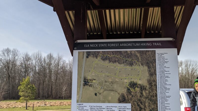 Elk Neck Arboretum Area Parking - North East, MD