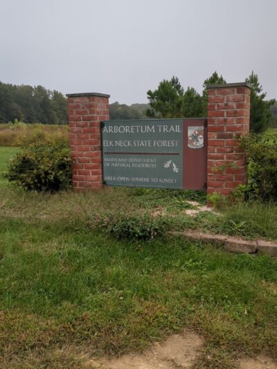 Elk Neck Arboretum Area Parking - North East, MD