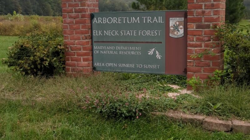 Elk Neck Arboretum Area Parking - North East, MD