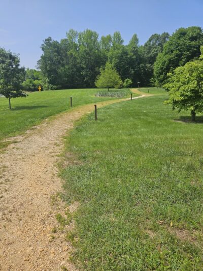 Elk Neck Arboretum Area Parking - North East, MD