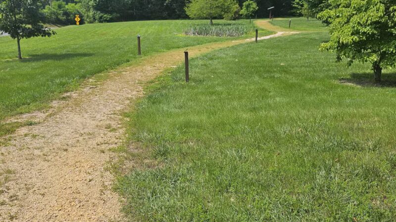 Elk Neck Arboretum Area Parking - North East, MD