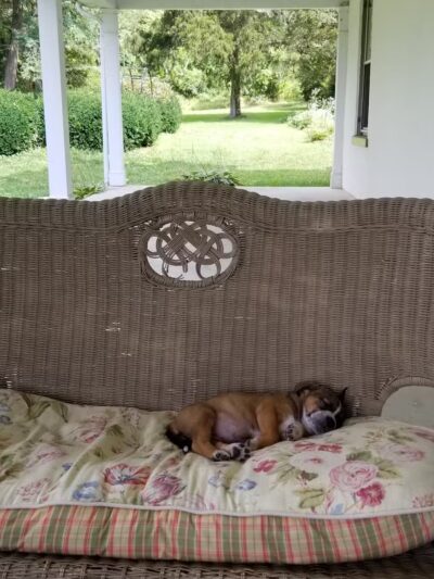 North East Manor - North East, MD