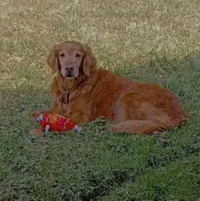 North East Manor - North East, MD