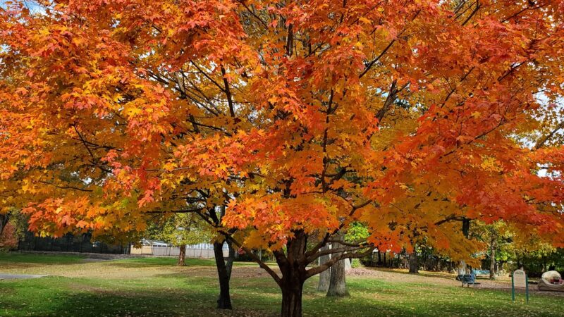 Frothingham Park - North Easton, MA