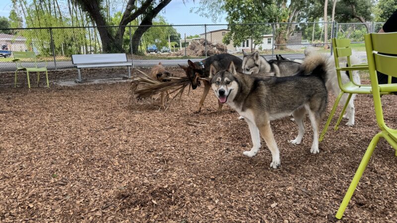 Pooch Park Dog Park at Judd Community Park - North Fort Myers, FL