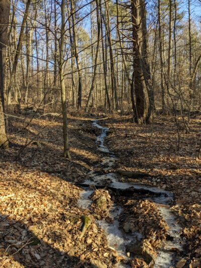 Ayers Gap - North Franklin, CT
