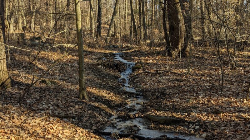 Ayers Gap - North Franklin, CT