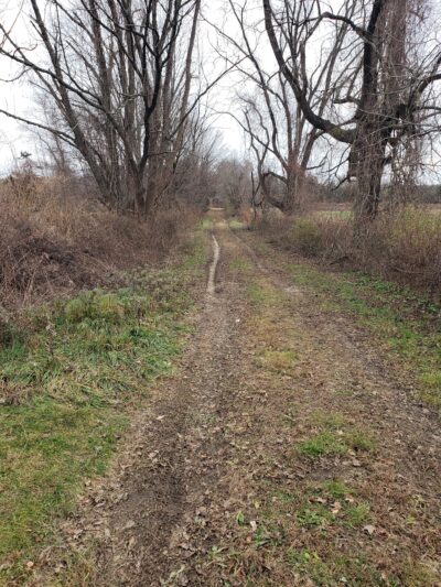Franklin Wildlife management area (Hunting) - North Franklin, CT