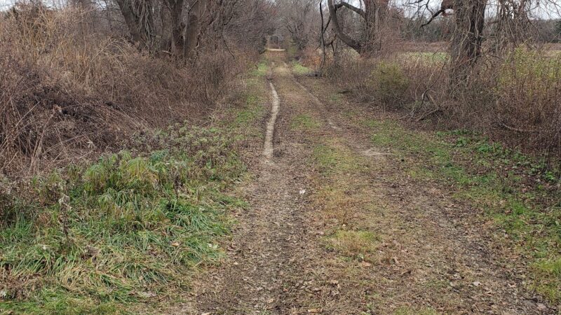 Franklin Wildlife management area (Hunting) - North Franklin, CT