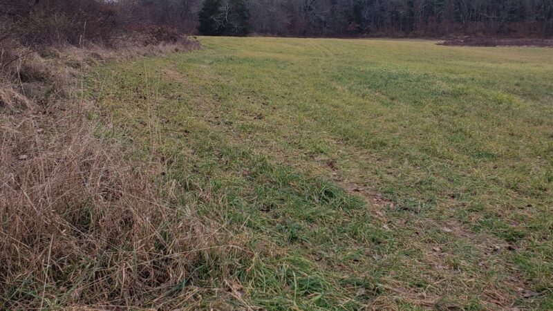 Franklin Wildlife management area (Hunting) - North Franklin, CT