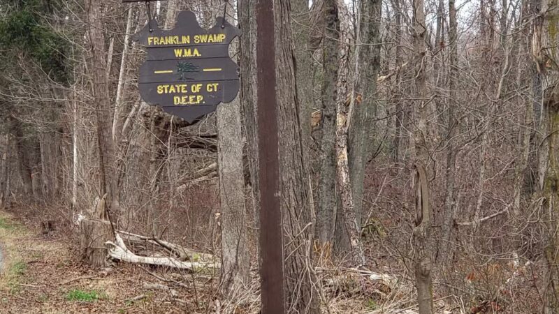 Franklin Wildlife management area (Hunting) - North Franklin, CT