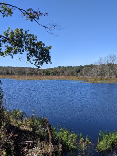 Air Line North State Park Trail - North Grosvenor Dale, CT
