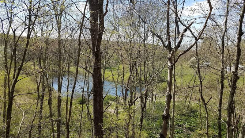 Air Line North State Park Trail - North Grosvenor Dale, CT