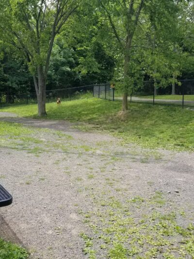 North Haledon Dog Park - North Haledon, NJ