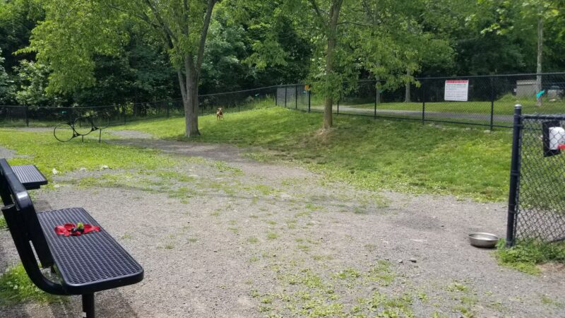 North Haledon Dog Park - North Haledon, NJ