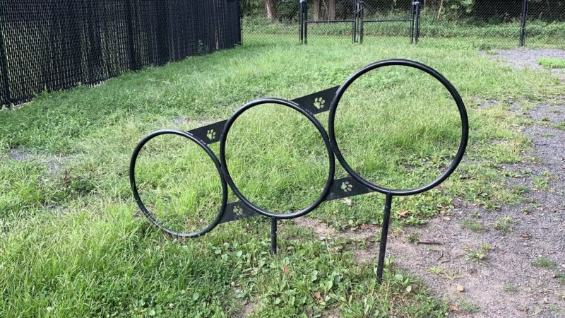 North Haledon Dog Park - North Haledon, NJ