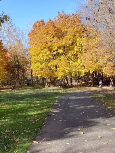 North Haledon Dog Park - North Haledon, NJ