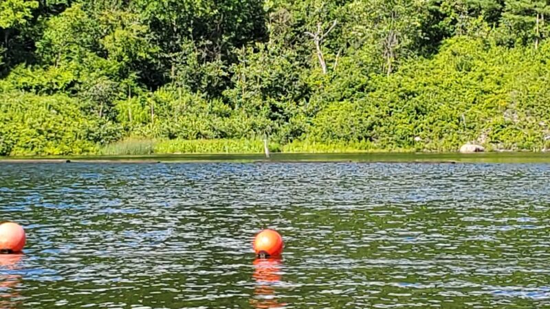 North Hartland Dam Recreation Area - North Hartland, VT