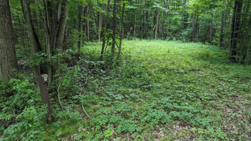 North Hero State Park - North Hero, VT