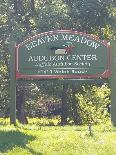 Beaver Meadow Nature Center / Buffalo Audubon Society - North Java, NY