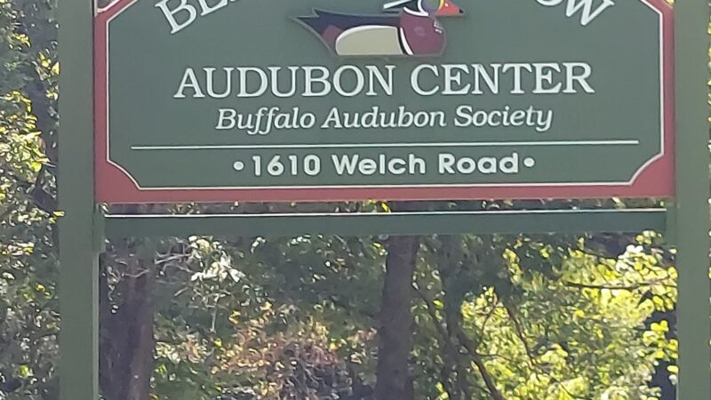 Beaver Meadow Nature Center / Buffalo Audubon Society - North Java, NY