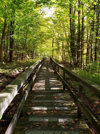 Beaver Meadow Nature Center / Buffalo Audubon Society - North Java, NY
