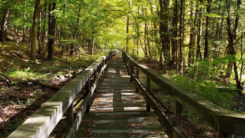 Beaver Meadow Nature Center / Buffalo Audubon Society - North Java, NY