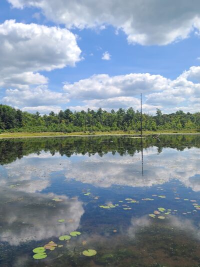 Beaver Meadow Nature Center / Buffalo Audubon Society - North Java, NY