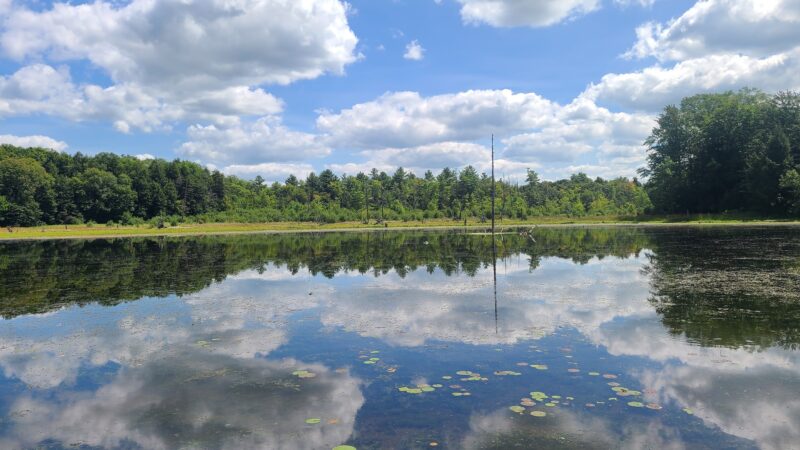 Beaver Meadow Nature Center / Buffalo Audubon Society - North Java, NY