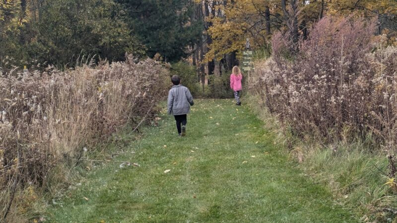 Buffalo Audubon Society Nature Center - North Java, NY