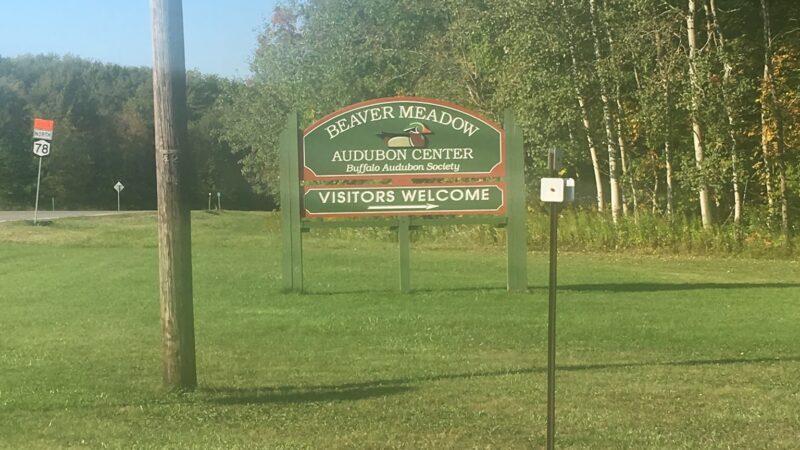 Buffalo Audubon Society Nature Center - North Java, NY