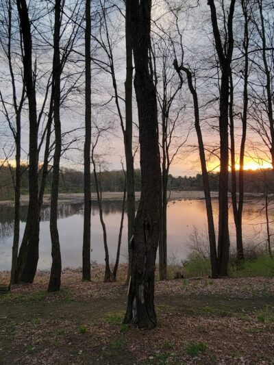 Buffalo Audubon Society Nature Center - North Java, NY