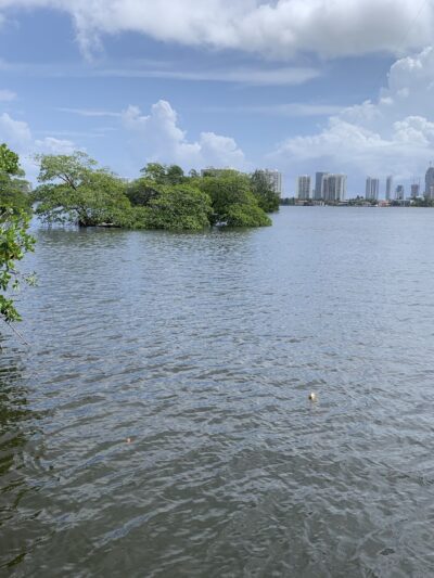 East Greynolds Park - North Miami Beach, FL