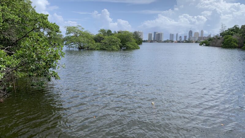 East Greynolds Park - North Miami Beach, FL