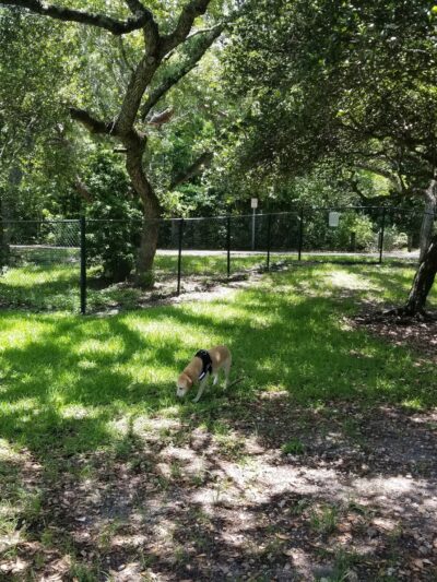 East Greynolds Park - North Miami Beach, FL