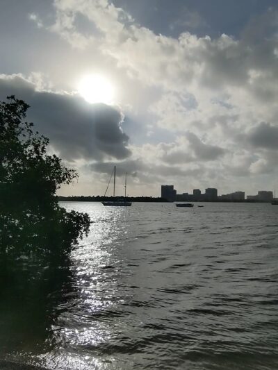 Arch Creek East Environmental Preserve (ACE Preserve) - North Miami, FL