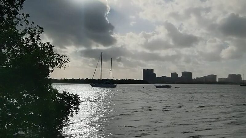 Arch Creek East Environmental Preserve (ACE Preserve) - North Miami, FL