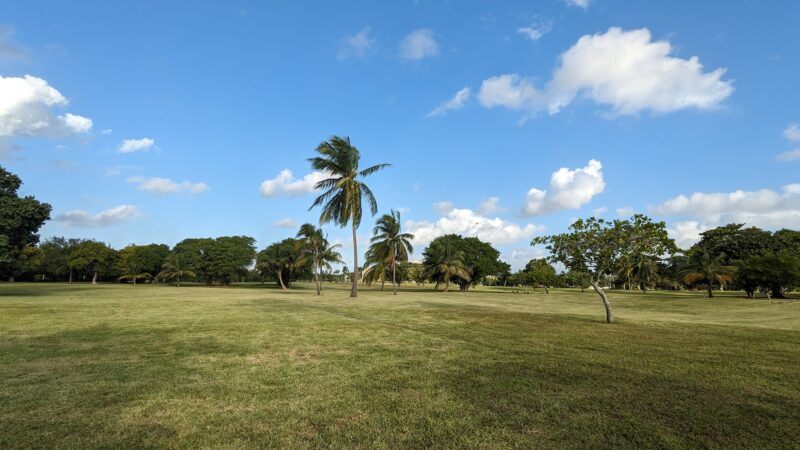Arch Creek East Environmental Preserve (ACE Preserve) - North Miami, FL