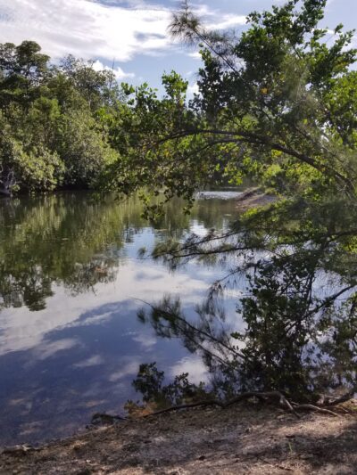 Arch Creek East Environmental Preserve (ACE Preserve) - North Miami, FL