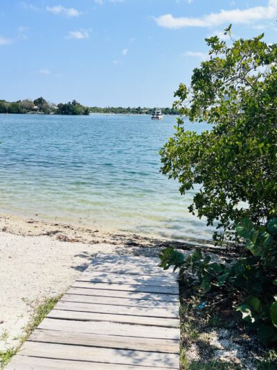 Arch Creek East Environmental Preserve (ACE Preserve) - North Miami, FL