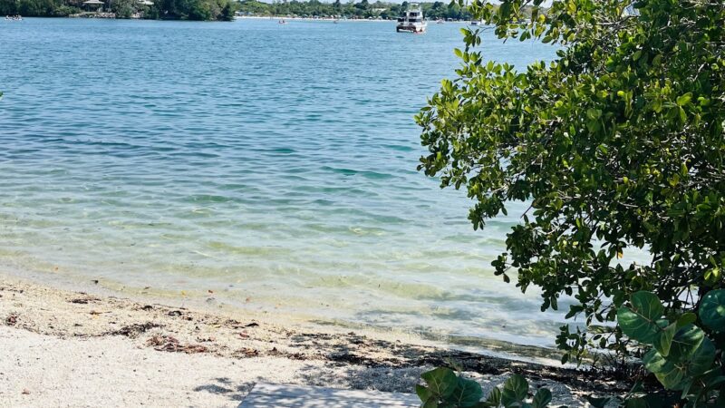 Arch Creek East Environmental Preserve (ACE Preserve) - North Miami, FL